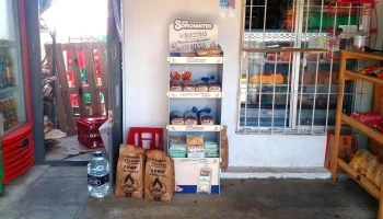 4 hermanos - María Orticochea