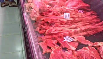 Abasto El Placer - Barros Blancos