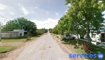 Acc - Br. Artigas 4555 - Young