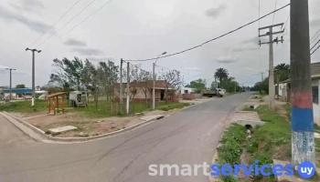 Agropecuaria - 15500 Joaquín Suárez