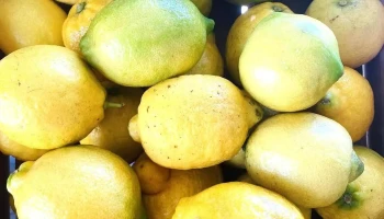 Almacén y Frutería - 60000 Paysandú