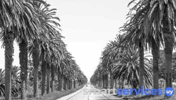 Andrew@Rodriguew Films&Arts - Las Piedras