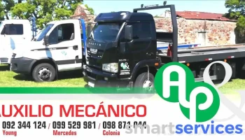 Ap Asociados Srl - 75000 Mercedes