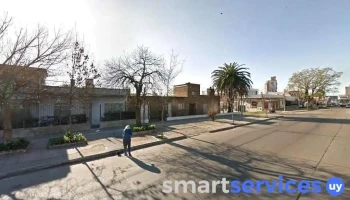 Apiarios M Brancaccio - Montevideo