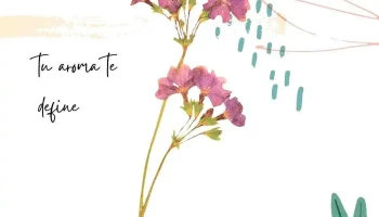 aroma bomm Perfumadores Textiles - Montevideo
