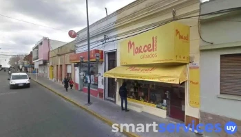 Arte Vision - San Carlos