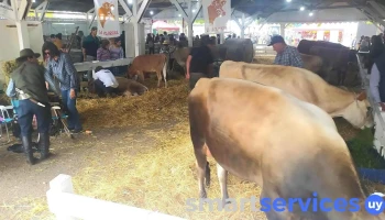 Asociación Rural Exposicion Feria de Paysandu - Ruta 90 Km 6
