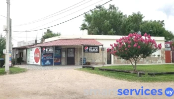 Autoservice Miles - 91200 San Bautista