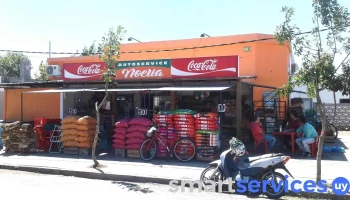Autoservice Noelia - 27000 Rocha