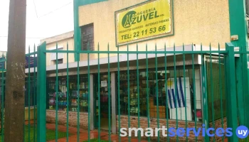 Azuvel Srl - Montevideo