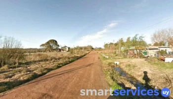 Berretta Insumos - Granos - Seguros - 50000 Salto