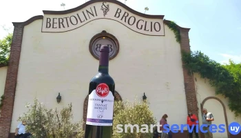 Bertolini y Broglio Bodega Boutique - 500 Parada