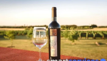 Bodega Boutique El Legado - 70100 Carmelo