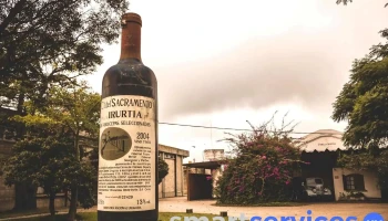 Bodega Familia Irurtia - Colonia