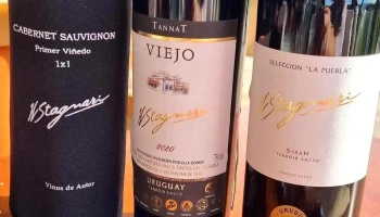 Bodega H. Stagnari - Ruta 5
