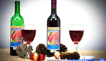 Bodega Tres Puentes Uruguay - 33000 Treinta Y Tres