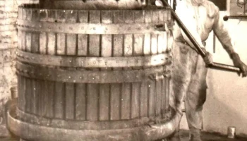 Bodega y Granja Cis - 70100 Carmelo Bodega y Granja Cis - 70100 Carmelo