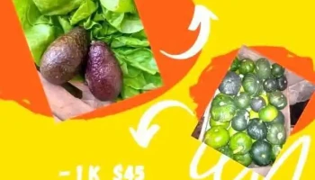 Calcol frutas y verduras - 15900 Las Piedras