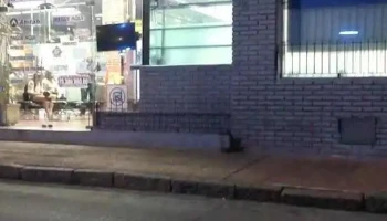 Cambilex - San Carlos