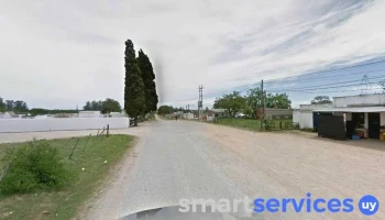 Campera Almacen Massanet - 30100 Solís De Mataojo