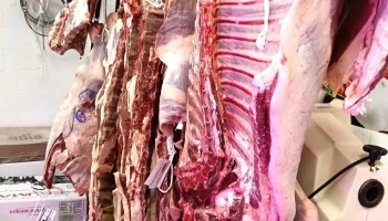 Carnicería el Oveja - Gregorio Sanabria Esq