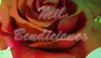 Carniceria Mi Familia - Los Cerrillos