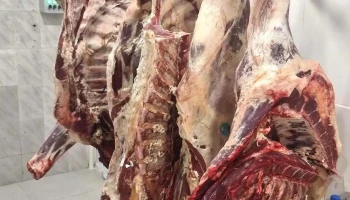 Carniceria Milagro - Departamento De Canelones