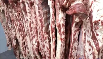 Carniceria y Supermercado José - Ciudad Del Plata