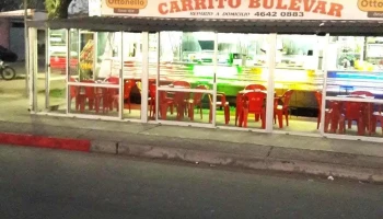 Carrito Bulevar - Ruta 8