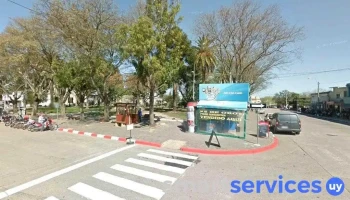 Carrito Feli Burgers - 91500 Sauce