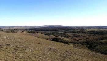 Cerro Largo Incluye - 37000 Melo