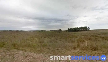 Chacras El Colorado De Migues - Sucesos Vende - 91700 Departamento De Canelones