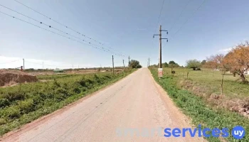 Copagran - Acopio Nueva Palmira - Perimetral Acceso A Puerto