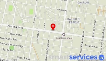 Dietetica Homeopatía Flor de semilla - 60000 Paysandú Dietetica Homeopatía Flor de semilla - 60000 Paysandú