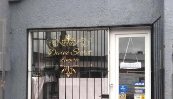 Divine Secret Lingerie - 27200 Castillos