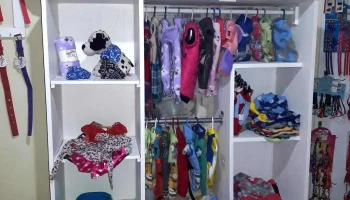 Dog Clothing Artigas - 25 De Agosto