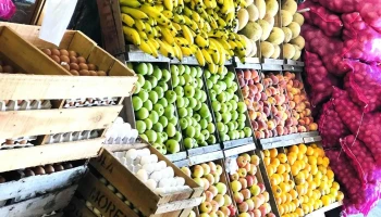 El Apache - Frutería y Verdulería - C. Rincon