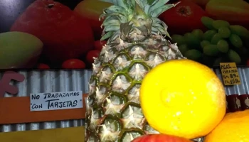 El galpon frutas y verduras - 70000 Col. Del Sacramento