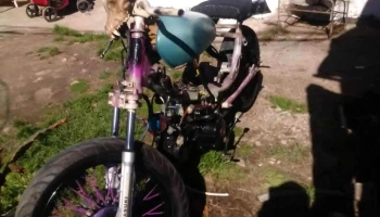 El loco gomero - 15500 Barros Blancos