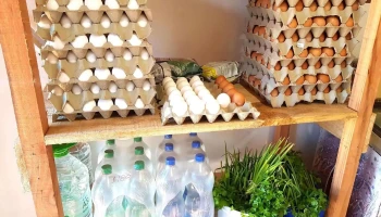 El Nogal Frutería y Verdulería - 55000 Artigas