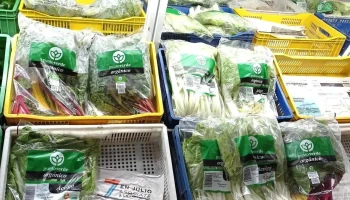 El Repecho Frutas y Verduras - 60000 Paysandú
