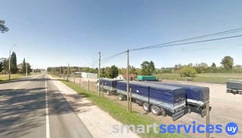 El terreno - Transportes Wornicov - Young