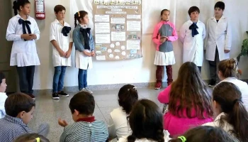 Escuela N° 19 - Porvenir
