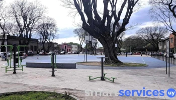 Escuela N°25 - Montevideo
