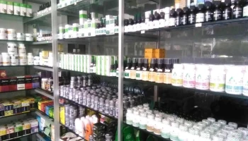 Farmacia L-Disc 5 - Punta Del Este