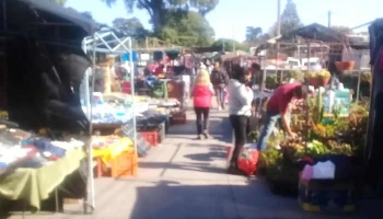 Feria de Manga - Av. José Belloni