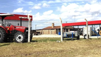 Fierro Fertil - 94000 Florida
