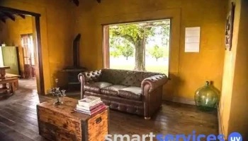 Finca Las Cavas - Ramal Viboras Carmelo Treinta Y Tres 270