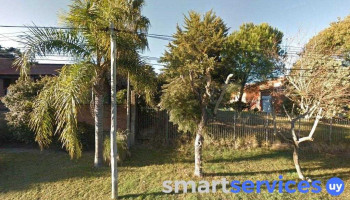 Florencio Sánchez 155 - Col. Del Sacramento