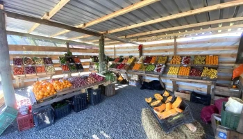 Frutas y verduras El Paraíso - 15200 Atlántida